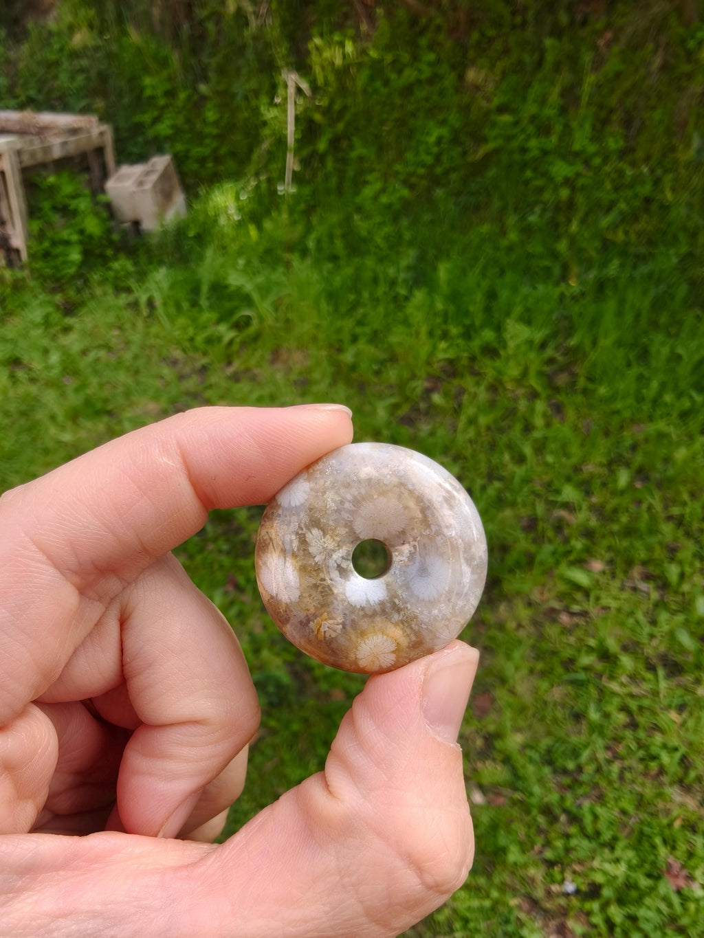 Fossil Coral pendant - Unique