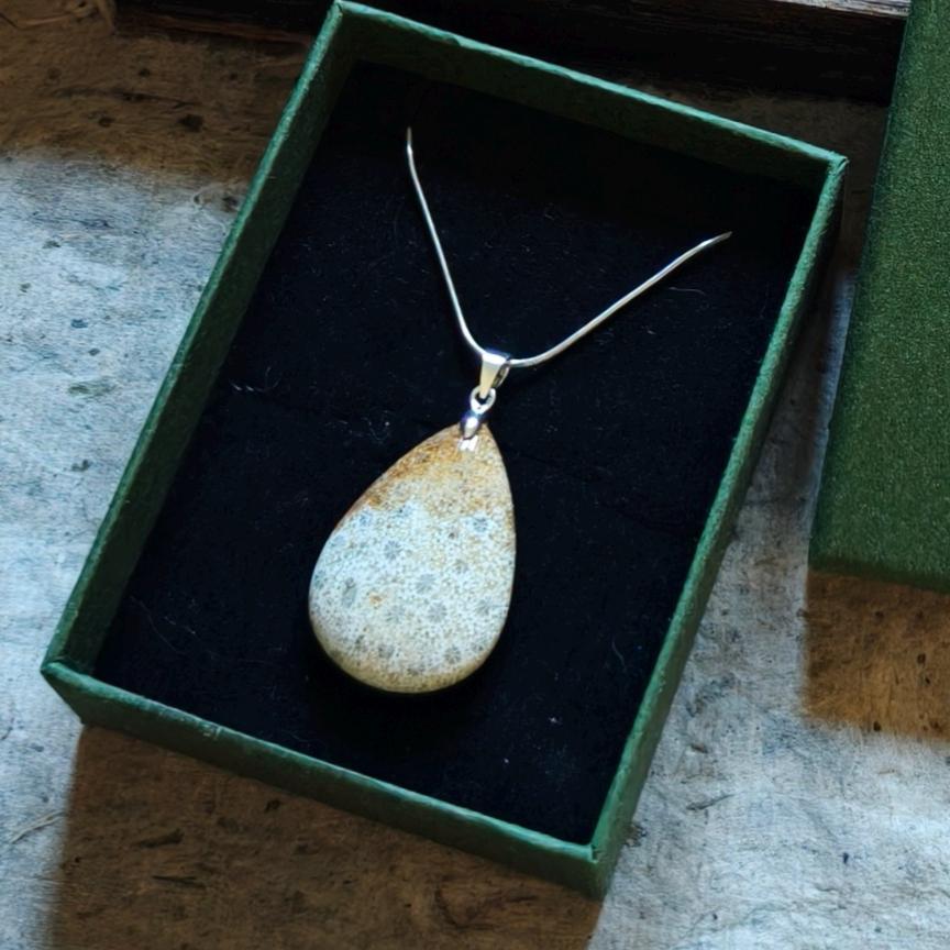 Fossil Coral Necklace - Unique